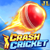 Crash Cricket Related Game